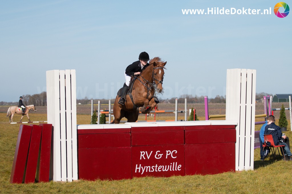 Jubileumconcours Hynstewille 410